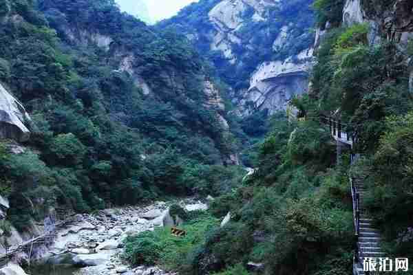 华山仙峪景区门票多少钱华山仙峪收费吗