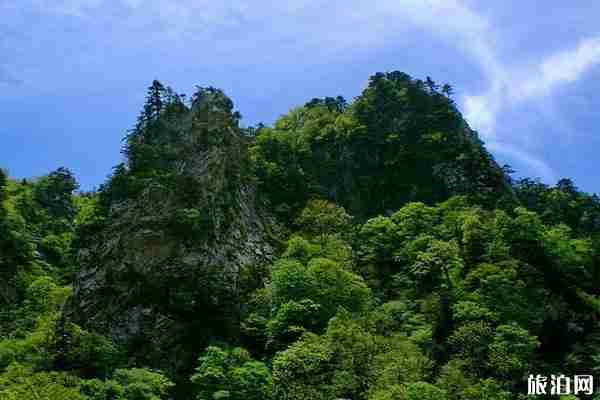 木札岭景区开放时间 免门票优惠